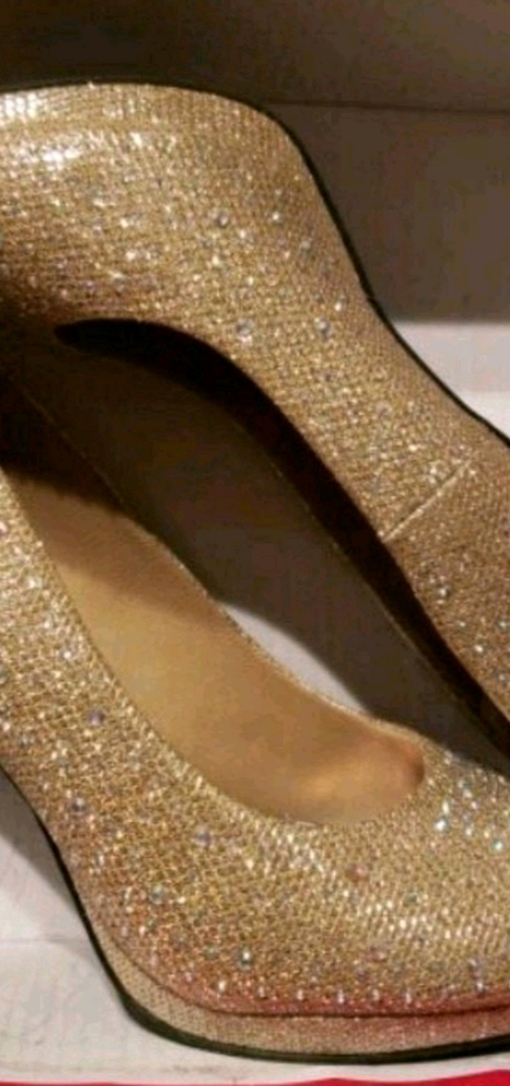 Silver Slipper Gold Heels